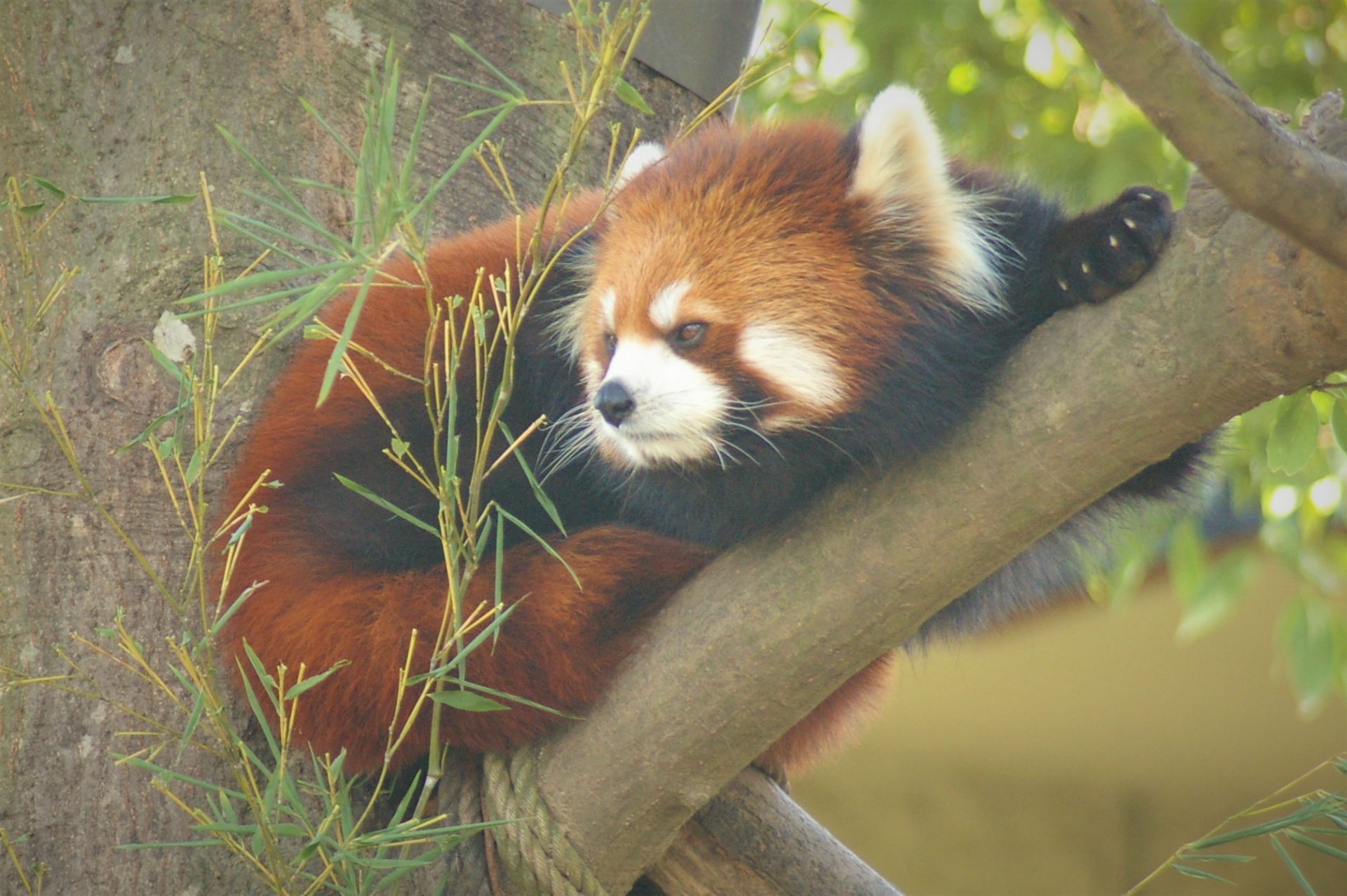 仙台市八木山動物公園(Yagiyama Zoological Park)