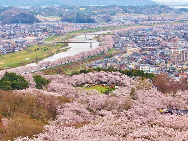 船岡城址公園