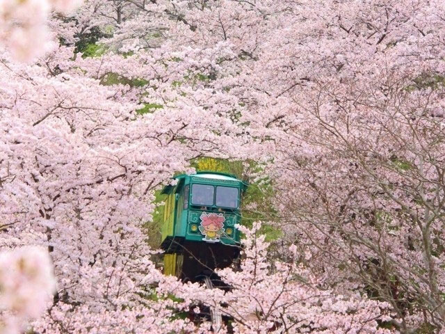 船岡城址公園