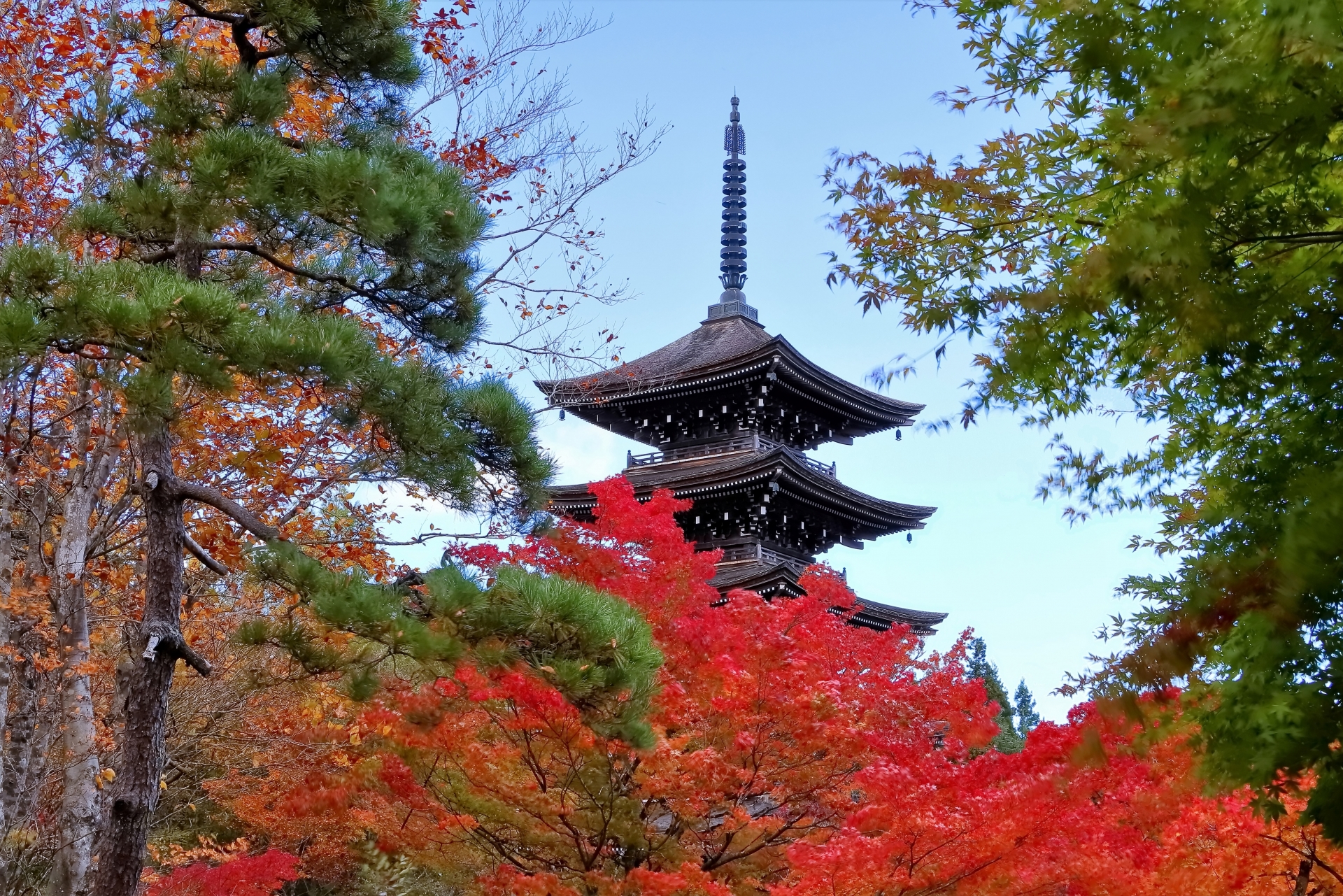 定義如来 西方寺