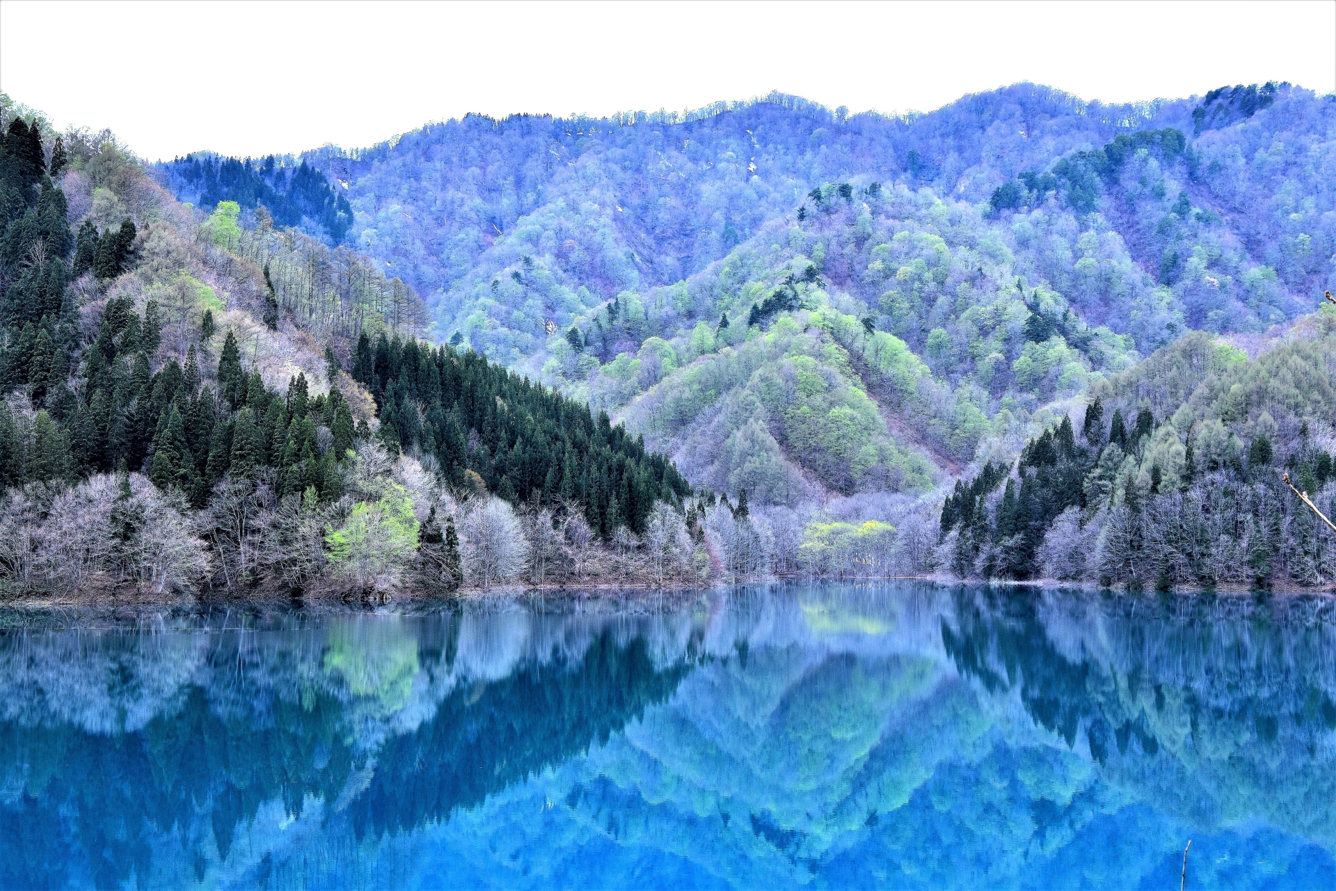 秋扇湖