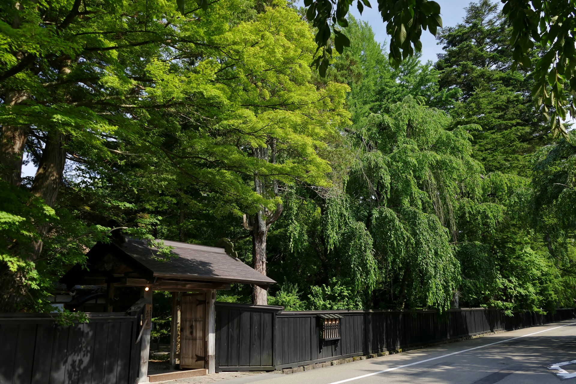 角館町武家屋敷通り