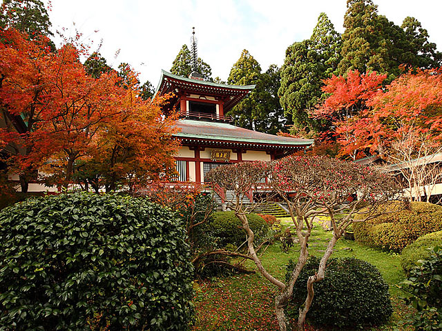 楽水亭庭園 大龍寺