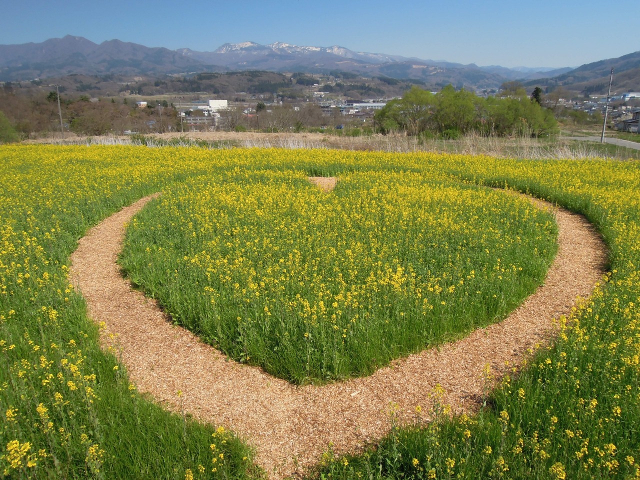 市民農園 ヴェンテンガルテン