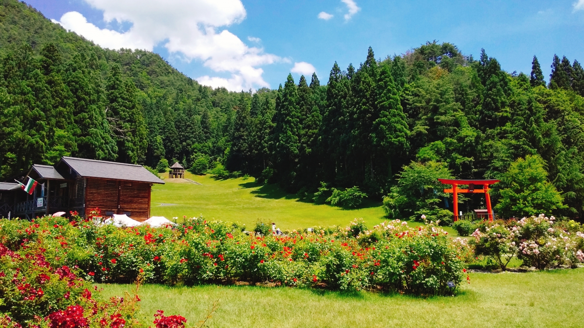 東沢バラ公園