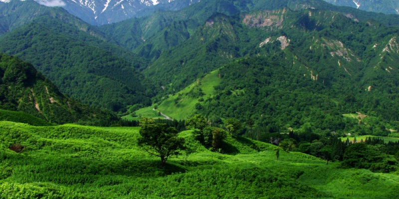 樽口峠