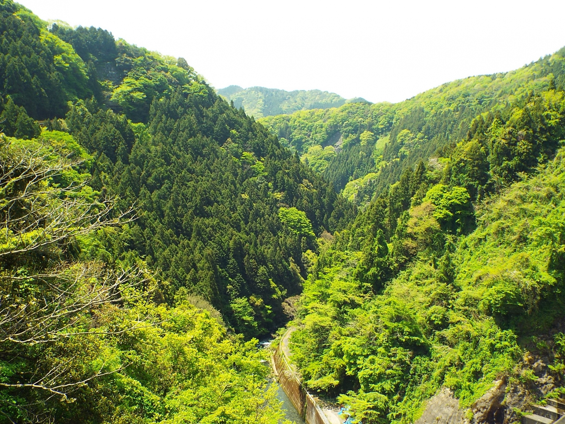 高瀬峡