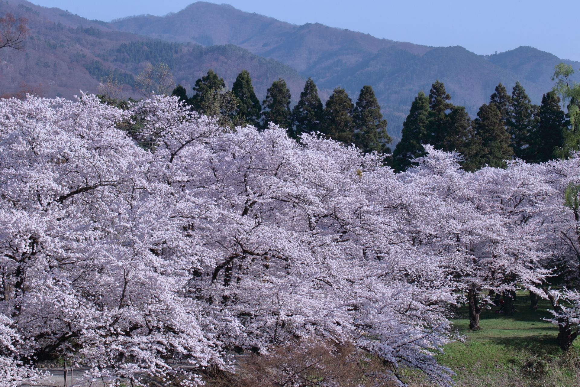 鶴ヶ城公園