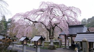 南湖神社