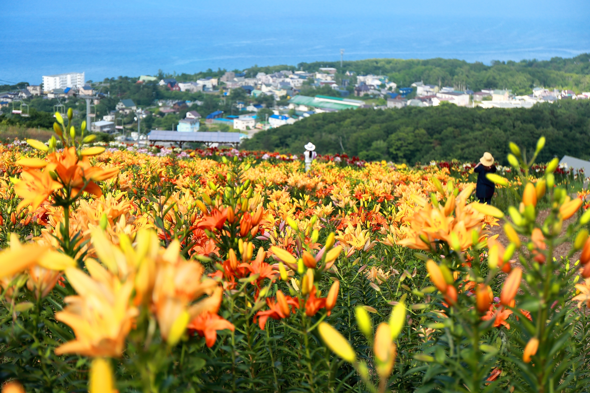 オーンズ春香山ゆり園