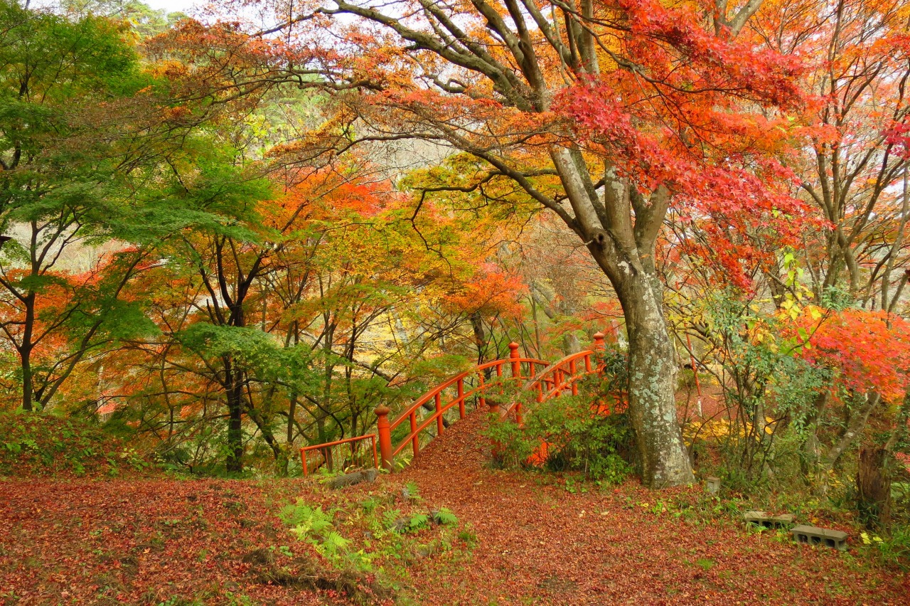 矢祭山