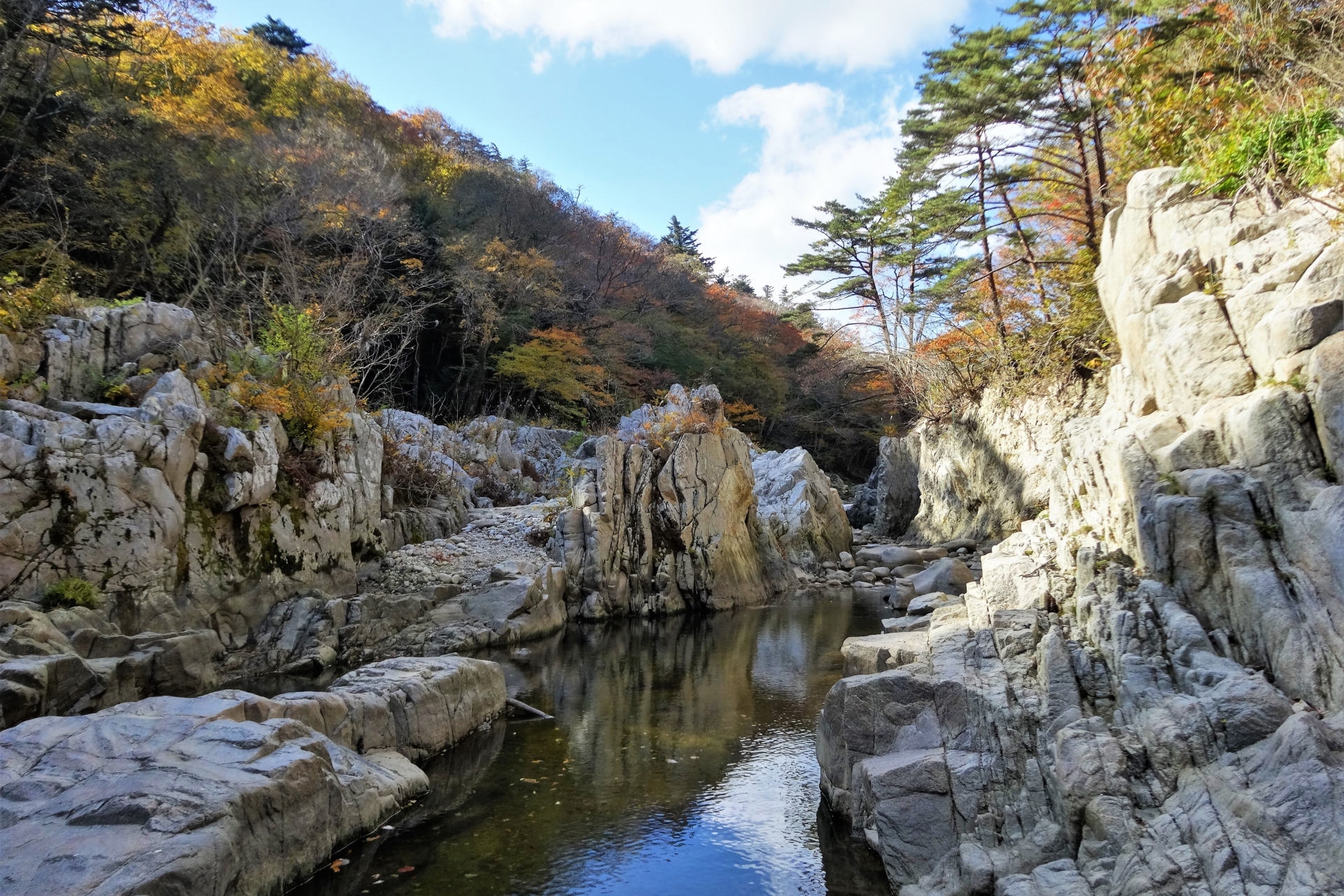 夏井川渓谷