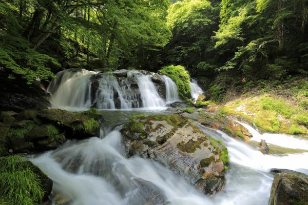 江竜田の滝