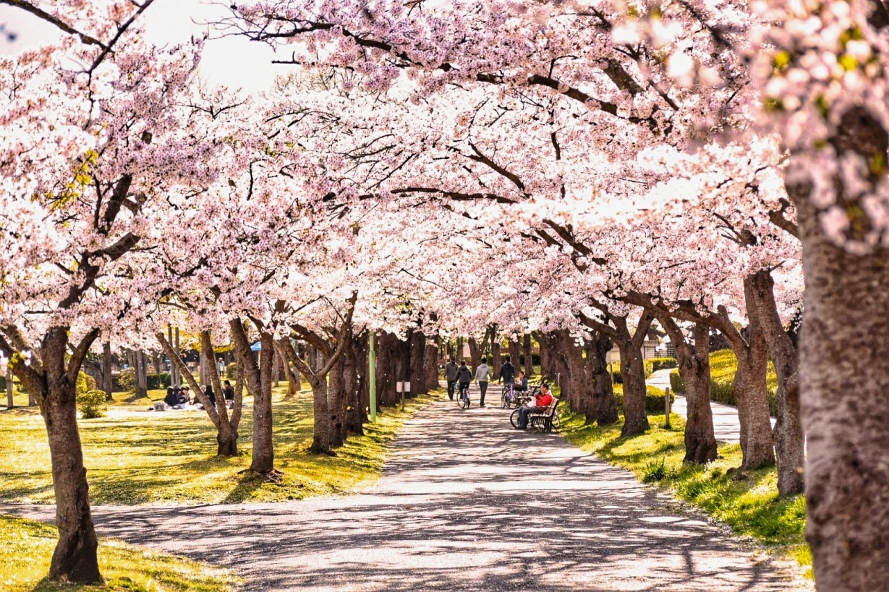 開成山公園