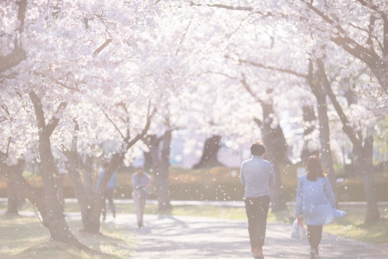 開成山公園