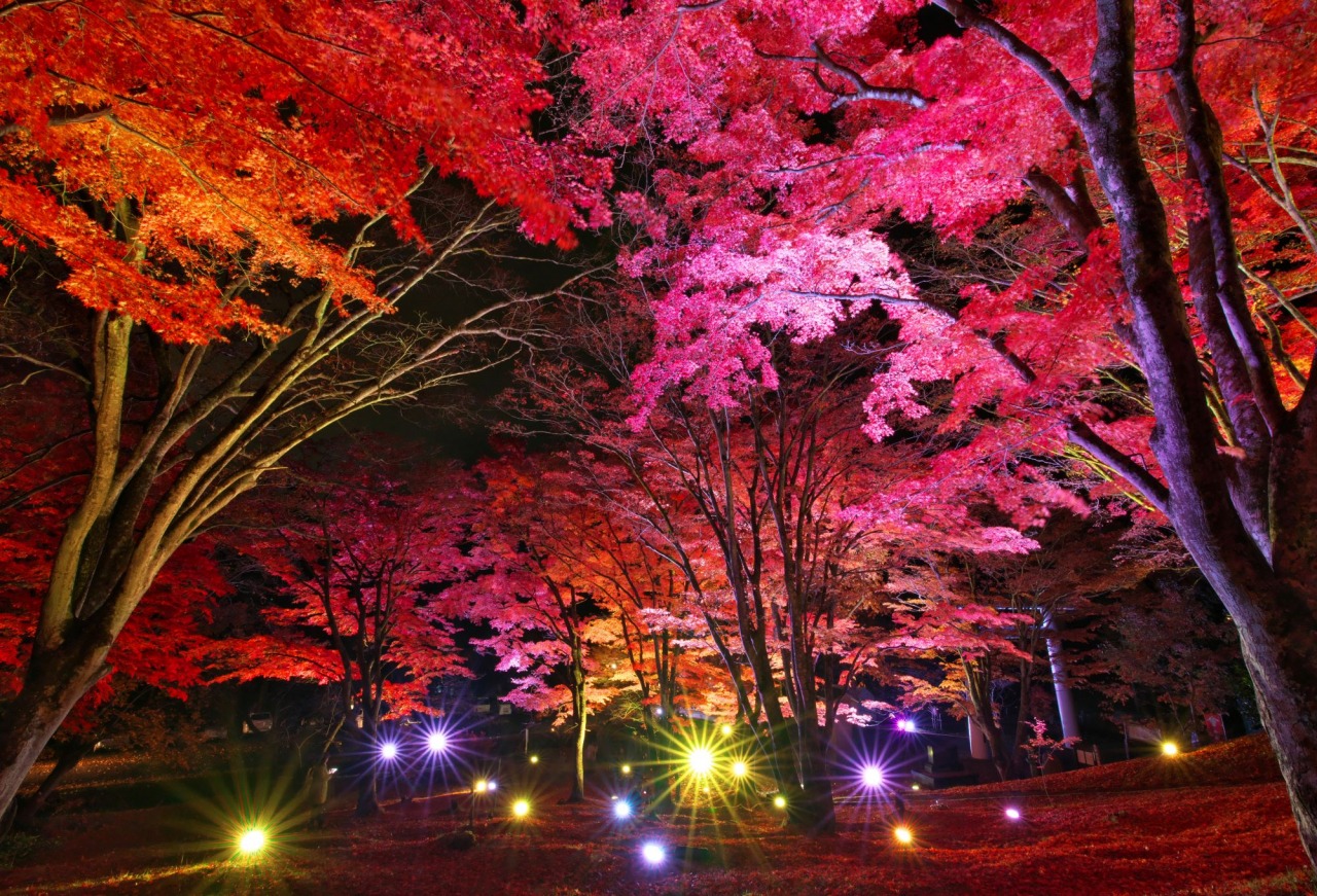 土津神社