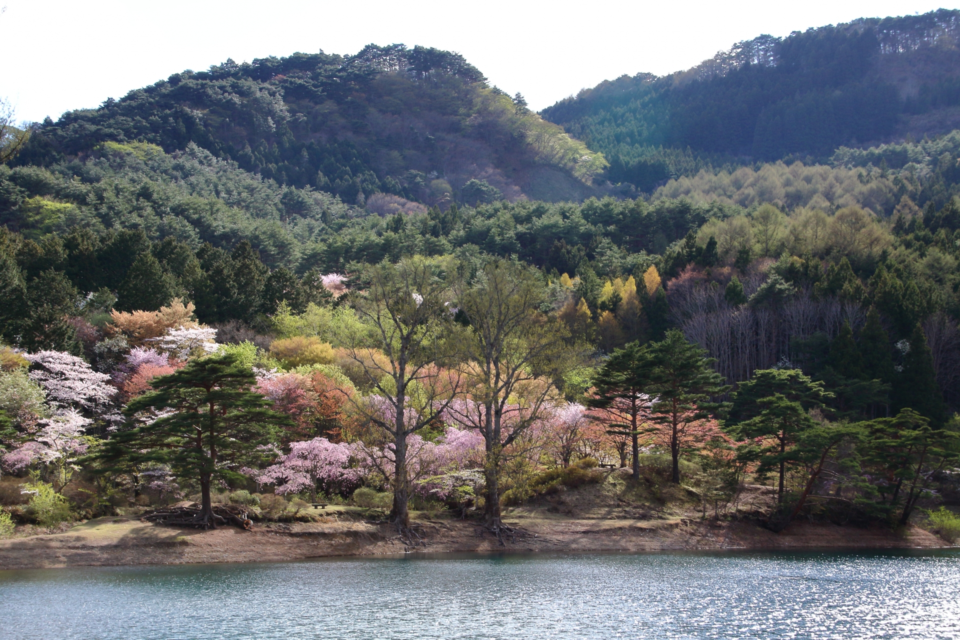 半田山自然公園