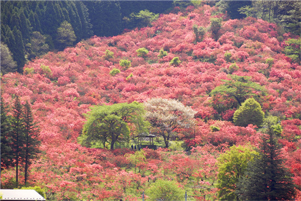 風呂山公園