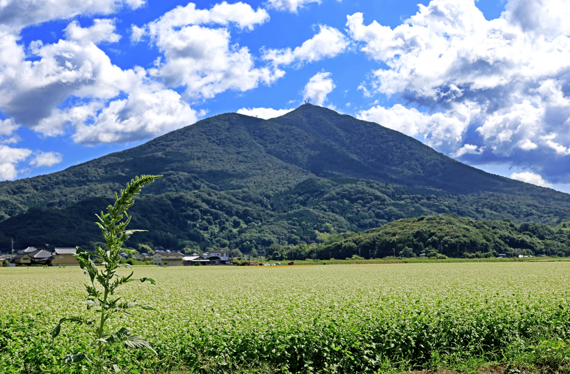 筑波山