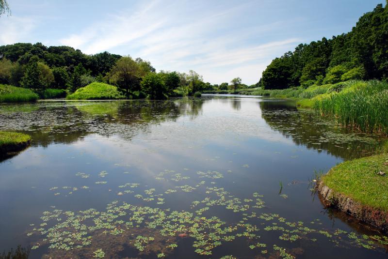 古河総合公園