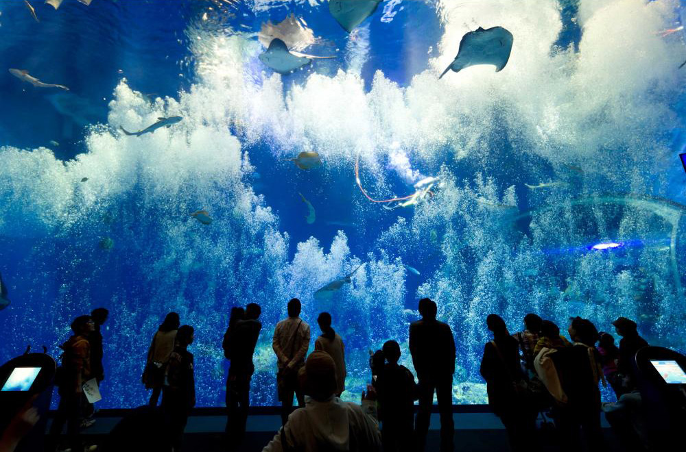 アクアワールド茨城県大洗水族館