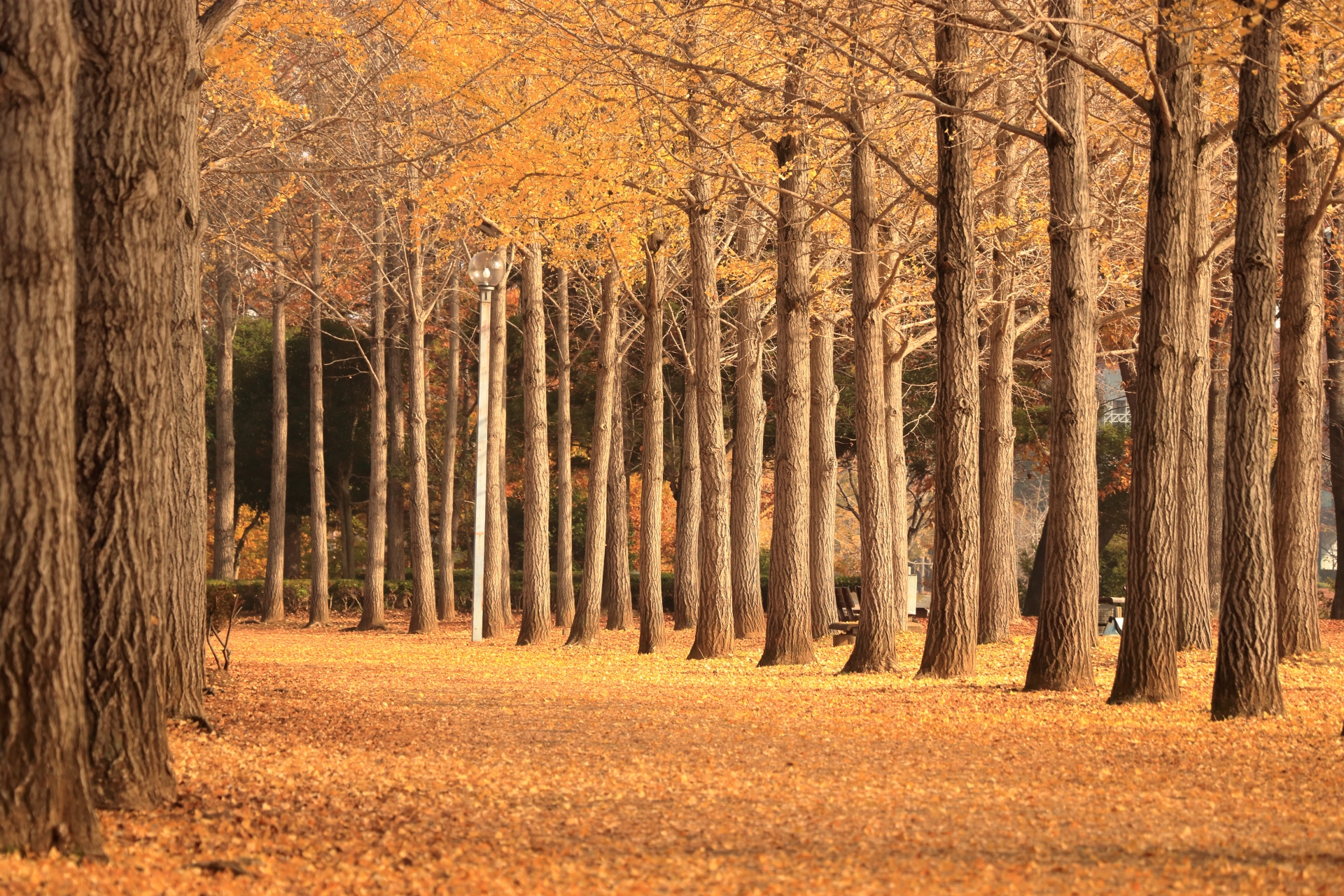 つくば 万博記念公園