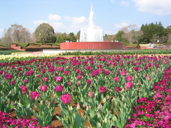 茨城県植物園