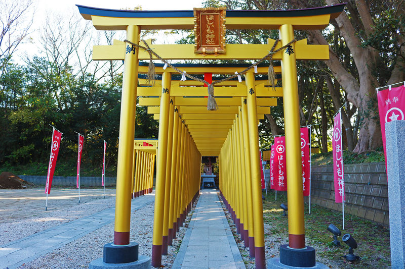 ほしいも神社