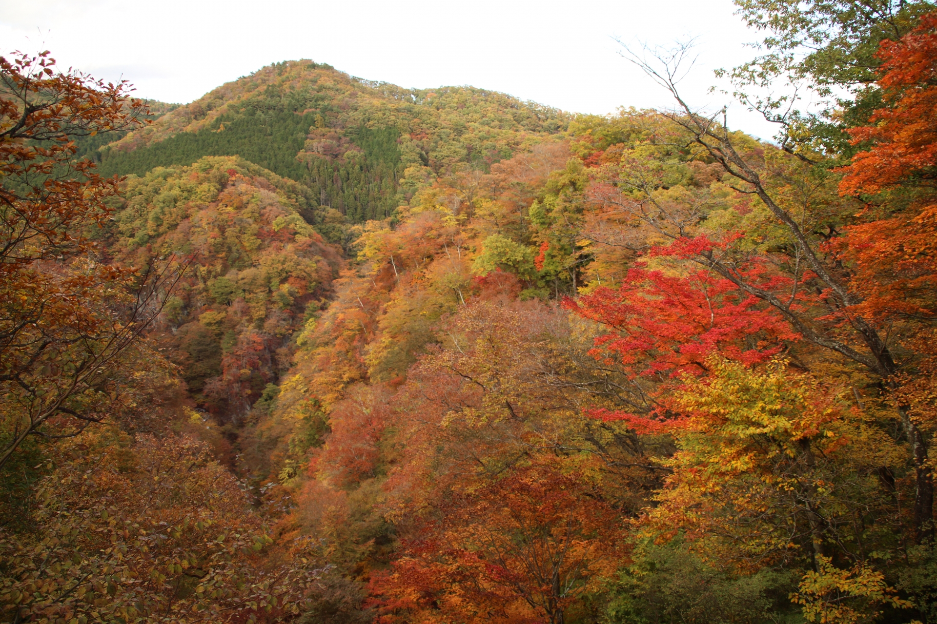 霧降高原