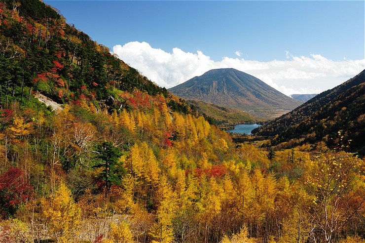 金精峠