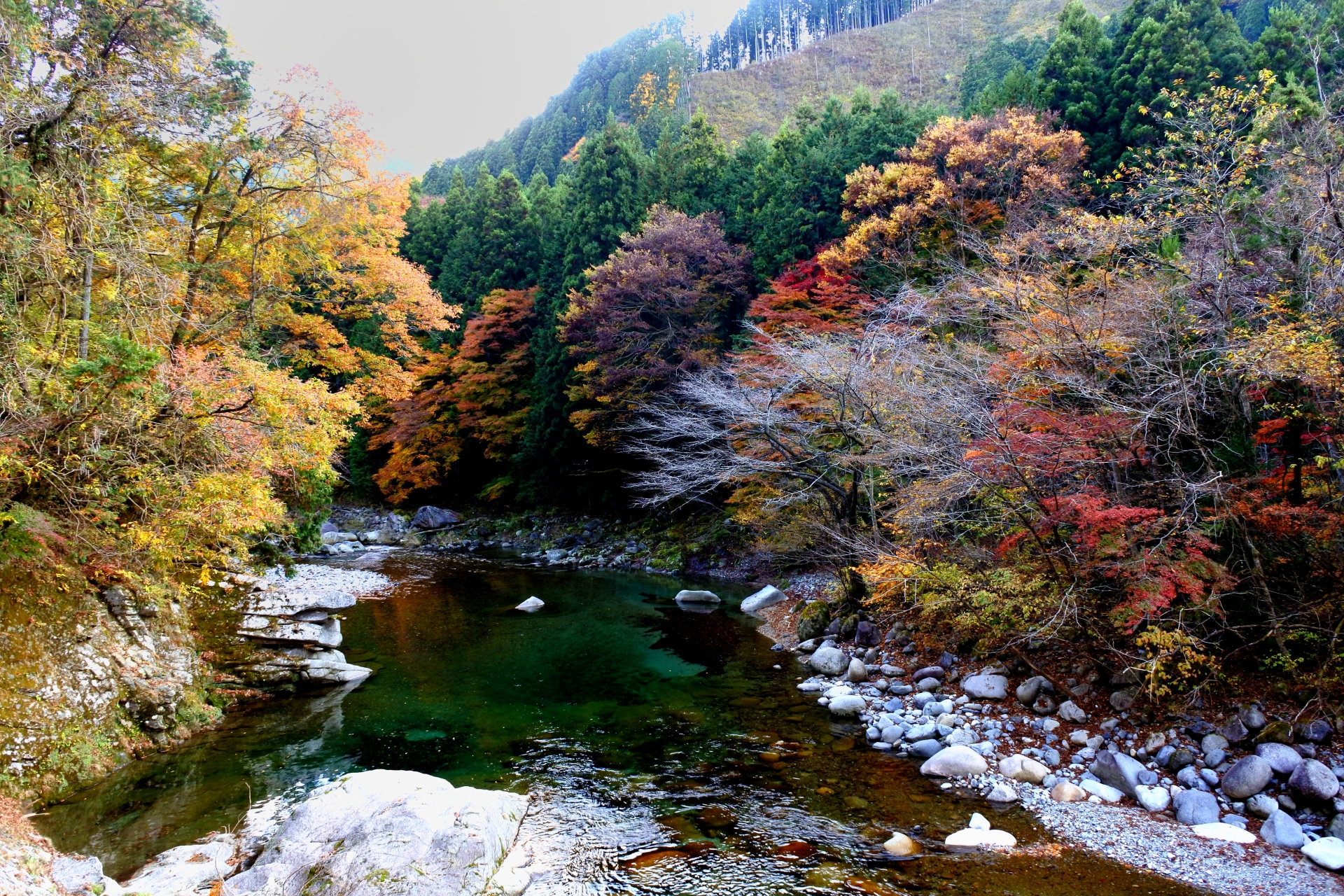 大芦川