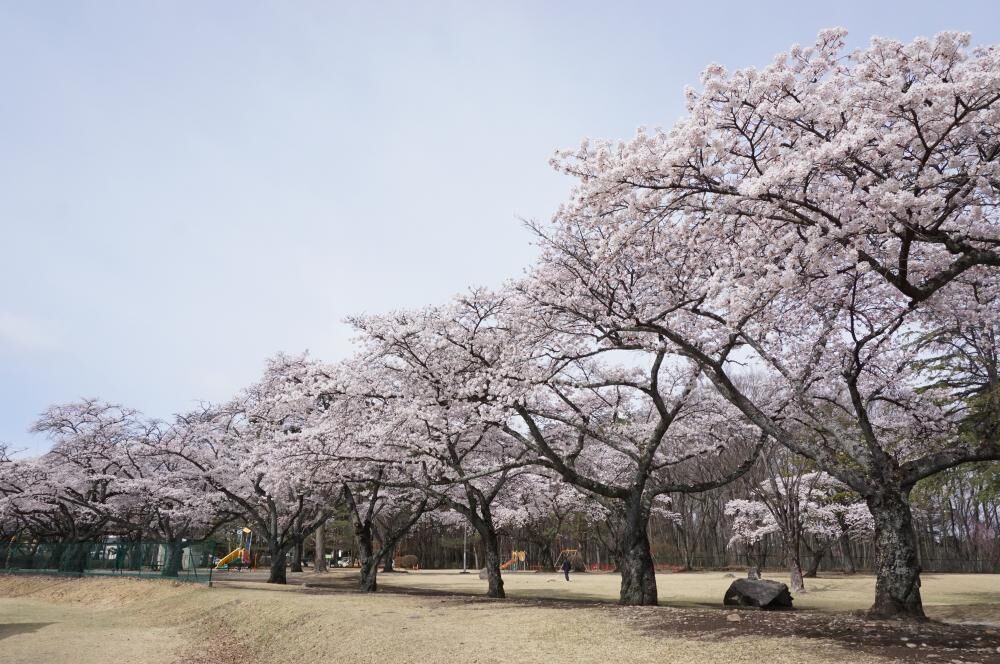 黒磯公園