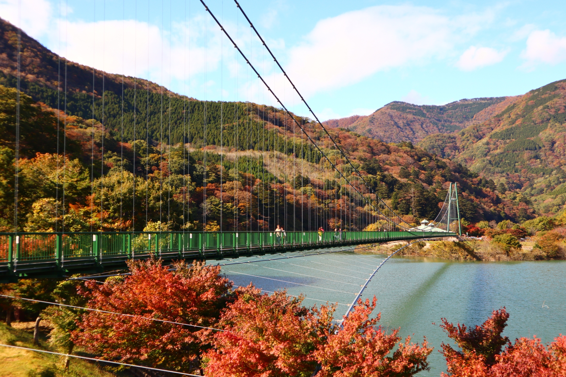 森林の駅 もみじ谷大吊橋