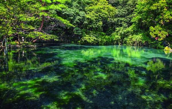 出流原弁天池