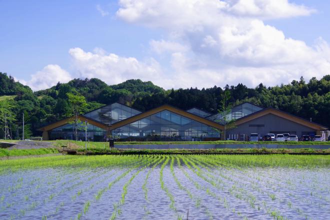 道の駅 ましこ