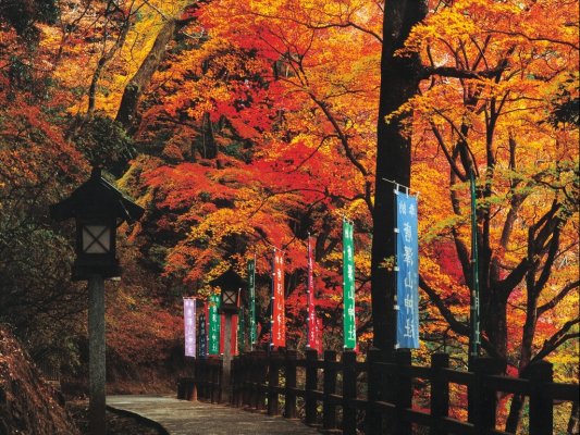 唐沢山神社