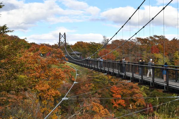 つつじ吊橋