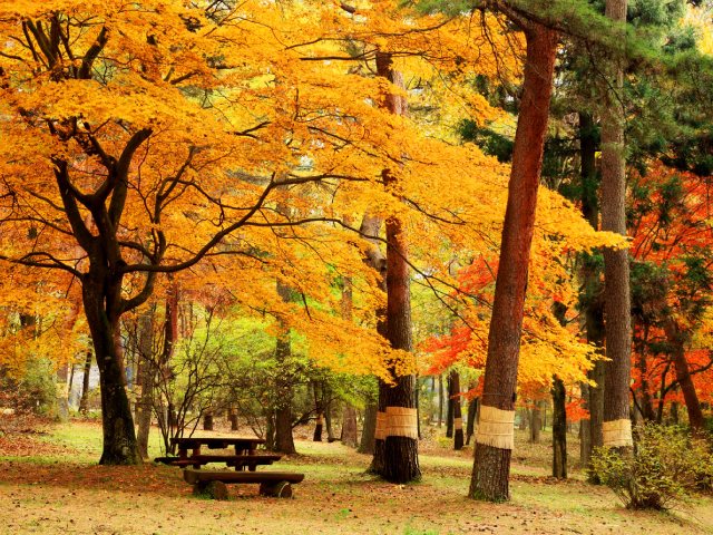 赤城自然園