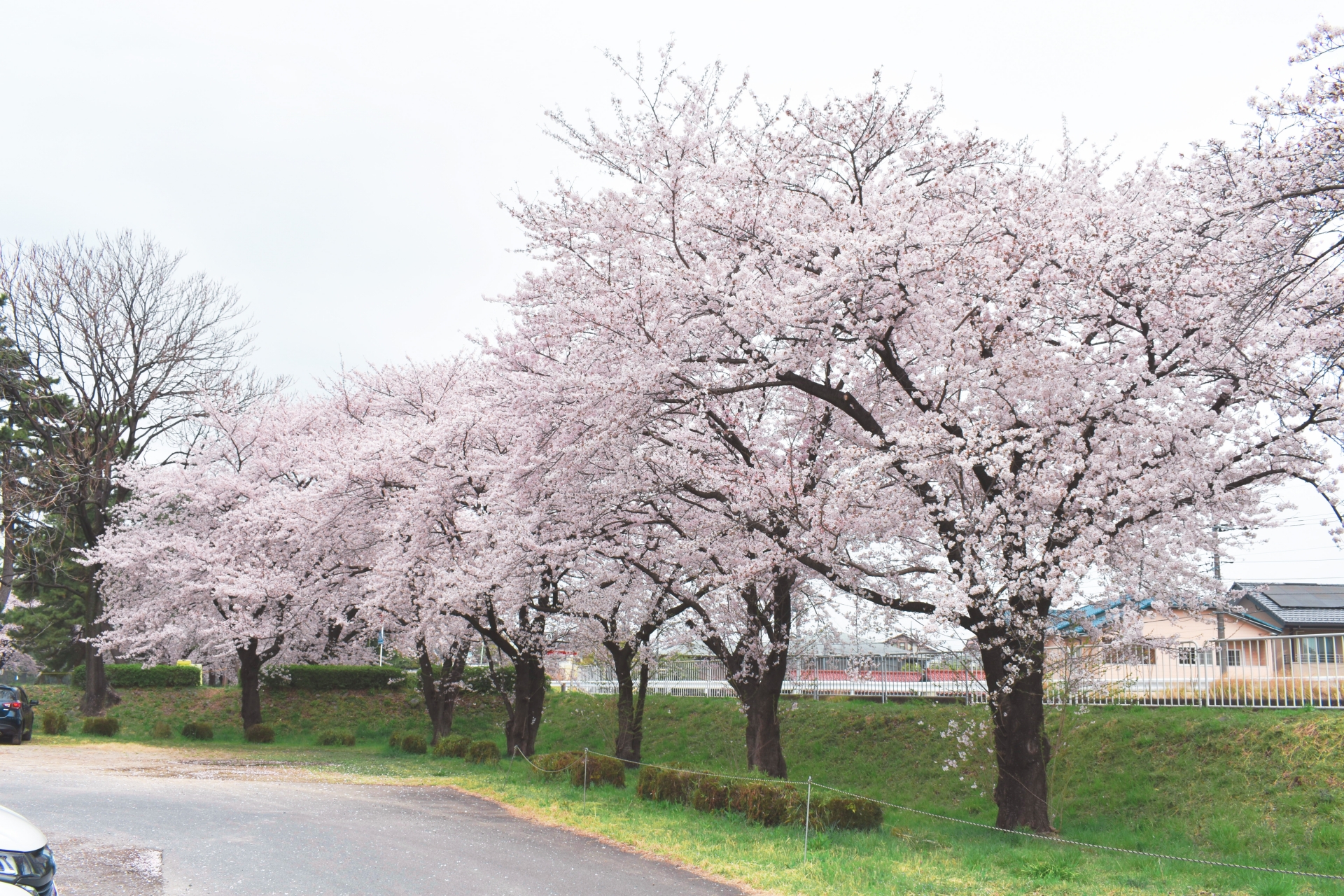 敷島公園